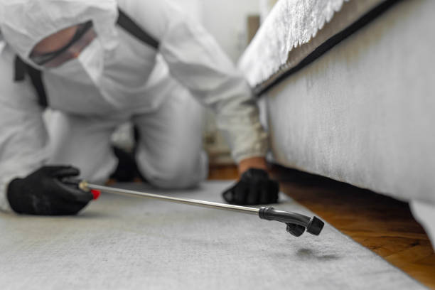 Professional Ant Control technician working in Lamont, MI