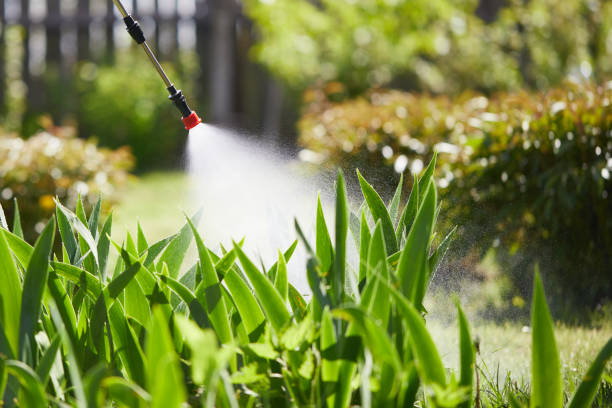 24/7 Emergency Ant Control experts in Lamont, MI