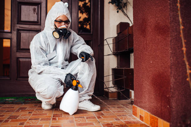 Reliable Ant Control contractor in Lamont, MI by Show Me Pest Control